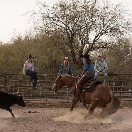 ホテル Kay El Bar Guest Ranch ウィッケンバーグ エクステリア 写真