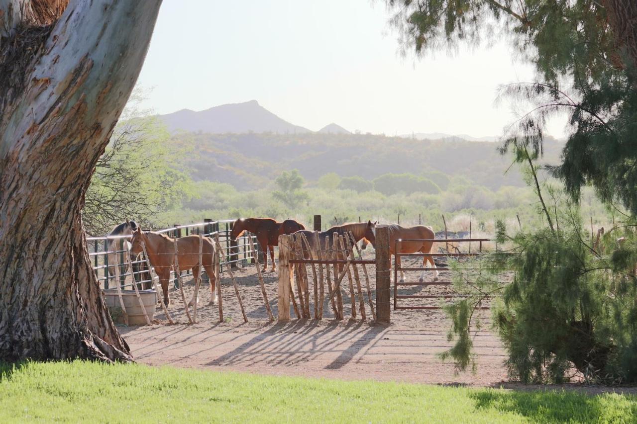 ホテル Kay El Bar Guest Ranch ウィッケンバーグ エクステリア 写真