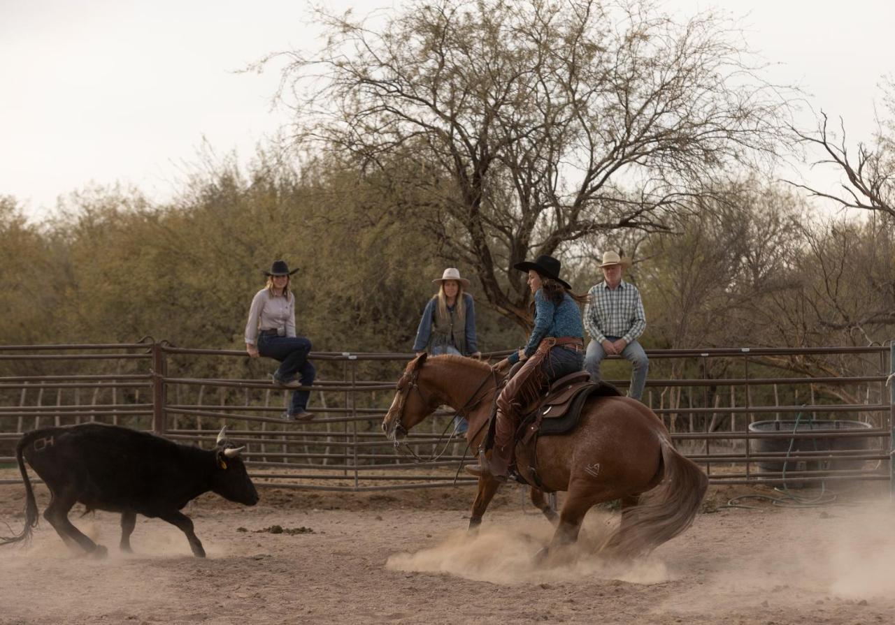 ホテル Kay El Bar Guest Ranch ウィッケンバーグ エクステリア 写真